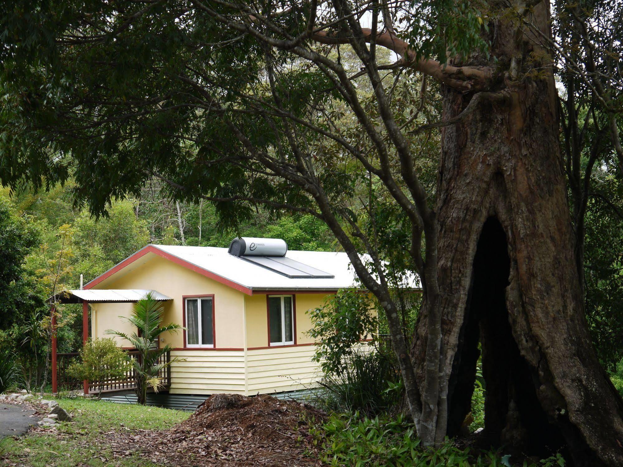 Villa Teretre Cabins Nimbin Exterior foto